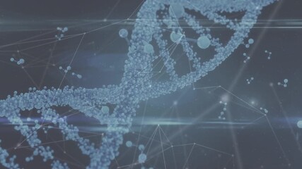 Animation of network of connections with dna strand and human brain - Powered by Adobe