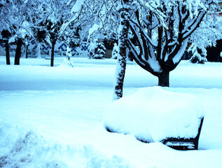 Silence Beneath the Snow