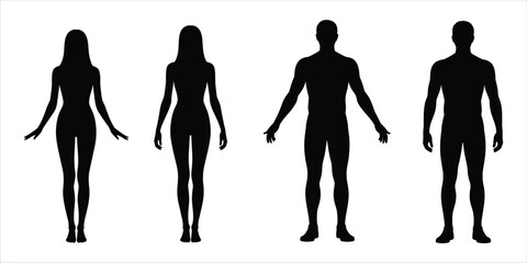 Two Female and Two Male Human Body Silhouettes on White Background vector illustration