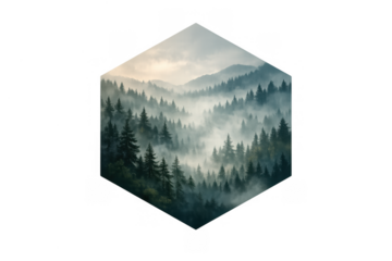 Foggy forest landscape in hexagon shape, misty mountain valley with pine trees, nature concept on transparent background
