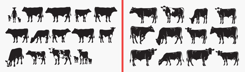 cow illustration set, farm animal drawing, cattle livestock artwork, dairy cow design, hand drawn farm clipart, ranch animal illustration, stock cow artwork

