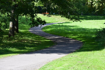 winding path in a park with shadows of trees