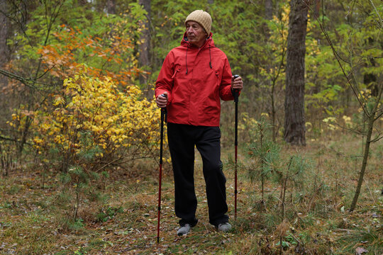 A person stands in a forest wearing a red jacket and holding trekking poles. The trees have yellow leaves and the ground is covered with fallen leaves - Powered by Adobe