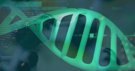 Animation of spinning dna strand an data processing over caucasian scientist in laboratory - Powered by Adobe