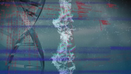 Animation of interference and dna strand over data processing - Powered by Adobe