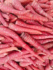 Close up shot of fresh pile of carrot.