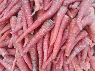 Close up shot of fresh pile of carrot.