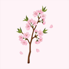Obraz premium Cherry Blossom Branch Illustration with Pink Flowers