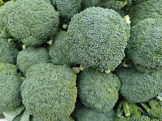 Close up shot of pile of broccoli.