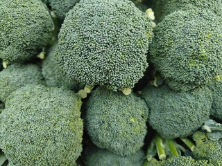 Close up shot of pile of broccoli.
