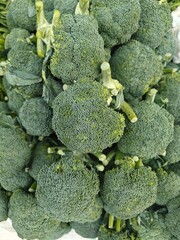 Close up shot of pile of broccoli.