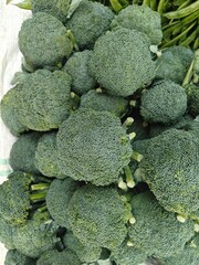 Close up shot of pile of broccoli.