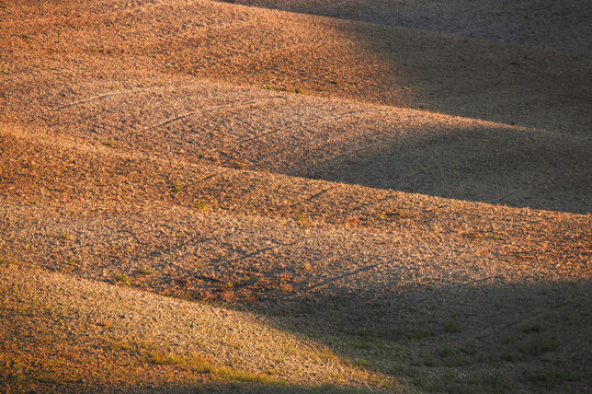 View of rolling, ploughed earth glows in the late afternoon sun, casting long shadows across the undulating landscape, San Quirico d'Orcia, Tuscany, Italy.