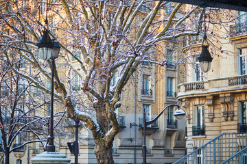 Snow-covered trees and traditional Haussmannian architecture in Paris during a cold winter day. Beautiful urban scene in France with historic buildings and street lamps