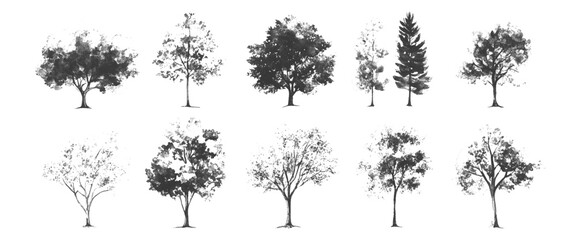 Vector set of sketch style of silhouettes of trees white background.