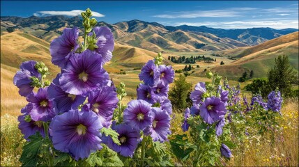 Purple flowers bloom with rolling hills and a blue sky in the background