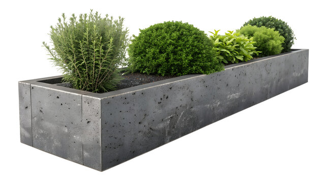 Long Rectangular Grey Concrete Planter Box with Lush Green Shrubs and Herbs Isolated on White