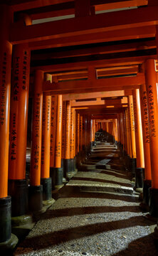 View of a seemingly endless path of vibrant vermillion torii gates creating a tunnel of color and shadow, a cultural journey, Kyoto, Kyoto, Japan.