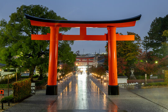 View of a vermillion torii gate standing boldly amidst lush greenery, reflecting on the wet stone path, leading to a distant shrine, Kyoto, Kyoto, Japan.