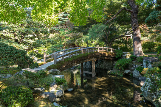 View of an arched wooden bridge, draped in moss, spans a tranquil pond reflecting the lush greenery, creating a serene landscape, &auml;&ordm;&not;&eacute;&fnof;&frac12;&aring;&cedil;&sbquo;&auml;&cedil;&Scaron;&auml;&ordm;&not;&aring;&OElig;&ordm;, Kyoto, Japan.