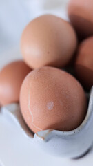 d&eacute;tail sur un oeuf