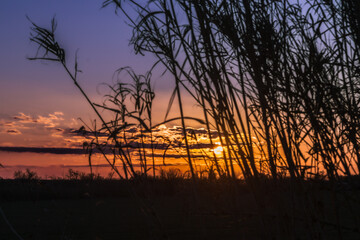 winter sunset in the Camargue