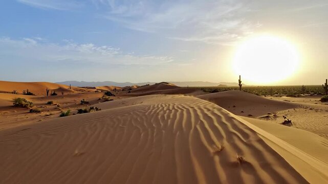 Golden sunlight illuminates the vast desert landscape with rolling sand dunes and sparse vegetation.