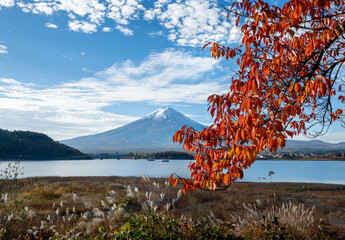 View of the majestic Mount Fuji dusted with snow, reflected in the tranquil lake waters framed by the vibrant red foliage of autumn, Fujikawaguchiko, Yamanashi, Japan.
