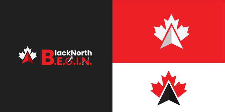 Modern Canadian startup logo design featuring maple leaf and upward arrow symbol representing growth innovation branding identity concept