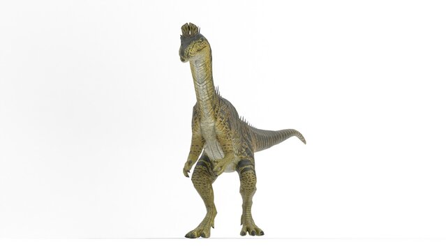cryolophosaurus ellioti dinosaur on white background