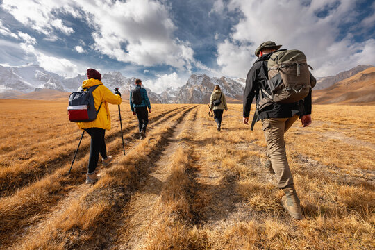 Group of young hikers friends with backpacks are walking in mountains