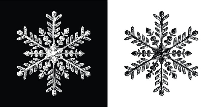 Detailed illustration of a complex six-sided snowflake displayed in both white on black and black on white contrasting styles