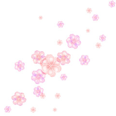 Obraz premium Pink Cherry Blossom Illustration
