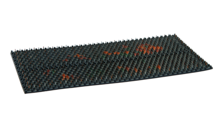 Applicator lyapko acupuncture massager isolated on transparent background