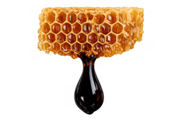 Honeycomb dripping creating a single dark syrup drop. Natural golden sweet food product on transparent background