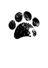 paw print on white background from a cat © Adrn