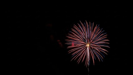 Fototapeta premium Colorful firework burst against a dark night sky 