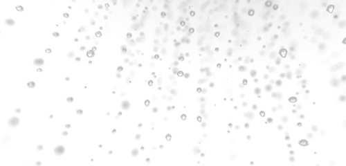 Clear Water Bubble Particles Floating Transparent PNG