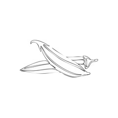 Obraz premium Okra Illustration: Botanical Line Art of Fresh Green Vegetables for Culinary Designs