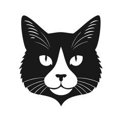 Obraz premium Monochrome cat portrait, feline, black and white cat design, animal, feline with distinctive markings