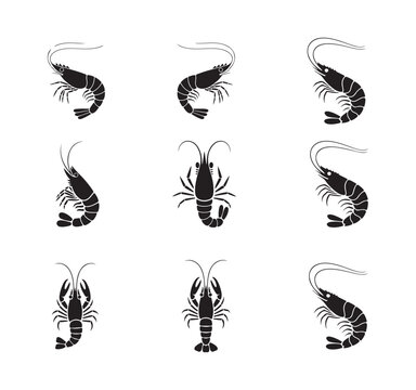 Nine black silhouette icons of shrimp crayfish and lobster in three rows for aquatic concept