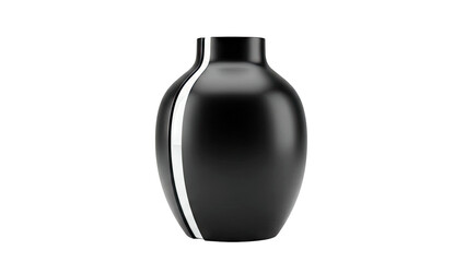 Sleek Black Vase with White Accent