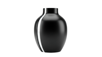 Sleek Black Vase with White Accent