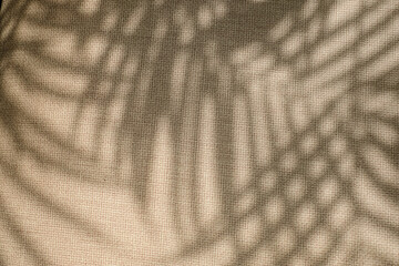 Defocused leaf shadow creating a natural pattern on beige fabric texture background. Suitable for branding, wellness design, sustainable themes, social media, and product development
