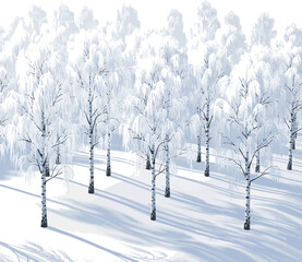 Create a realistic Aerial view of a birch forest in winter covered with frost vector art with white background..
