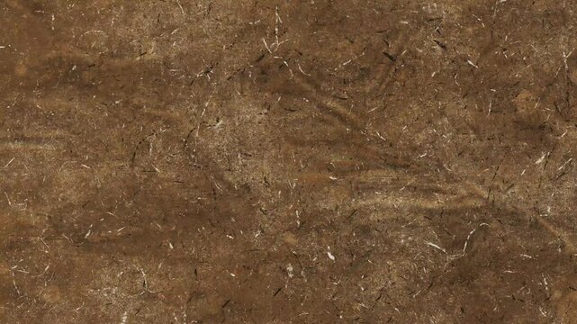 Grunge Paper Texture Loop.Animated Paper Grain Texture Loop, dust and scratches retro film noise for creative overlays. vintage Dark Black Textured Slate Stone Surface, abstract background texture, 4k