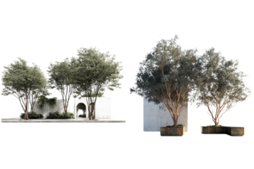 Trees foliage landscape nature outdoor plants set