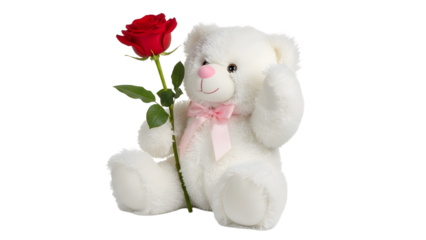 A white teddy bear holding a red rose on transparent background