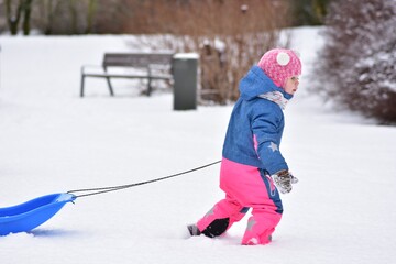 Toddler girl pulling plastic sled through fresh snow in winter park. Cute child learning balance, movement and independence during playful outdoor winter activity on a cold seasonal day.