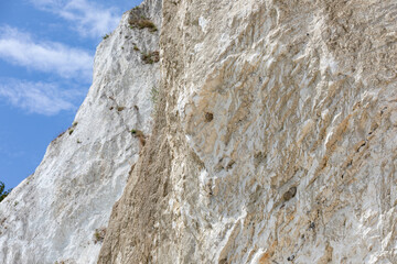 Mons Klint, Danmark, Birds nesting on the cliffs